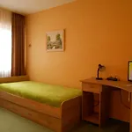 Landgasthof Schutzen ホテル Tengen