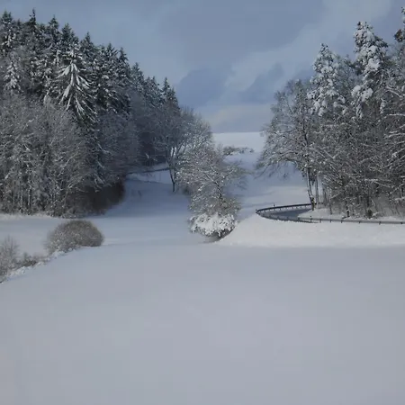 Landgasthof Schutzen Tengen