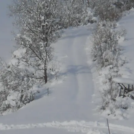 Landgasthof Schutzen 2*