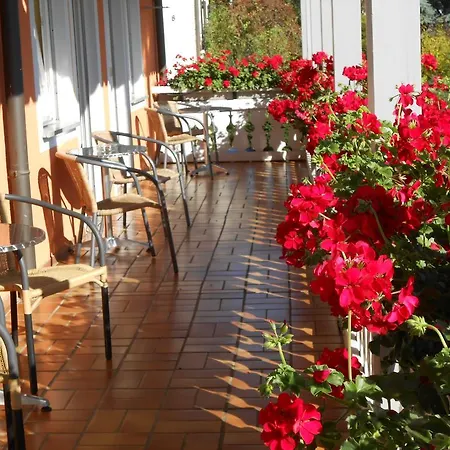 Landgasthof Schutzen 2* Tengen