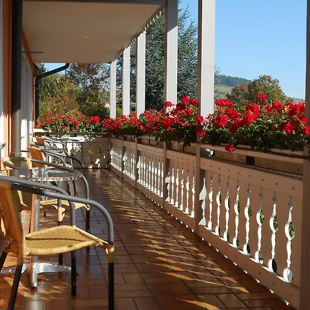 Landgasthof Schutzen 2* Tengen