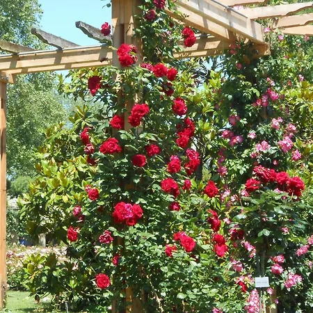 Szálloda Landgasthof Schutzen