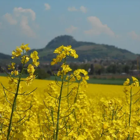 Landgasthof Schutzen מלון 2*